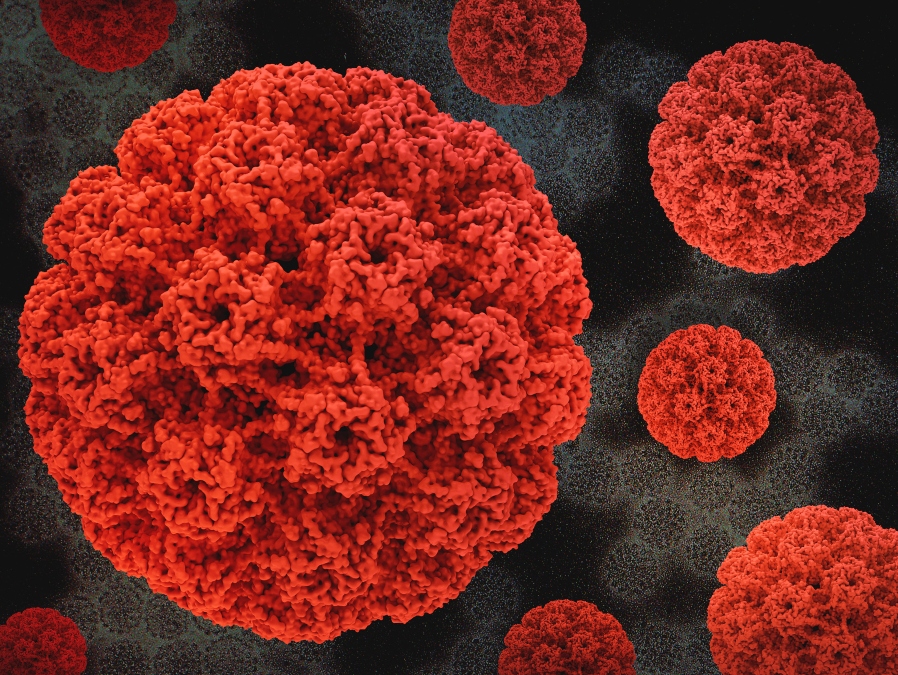 No Mês da Mulher, teste molecular reforça papel das farmácias na prevenção do HPV