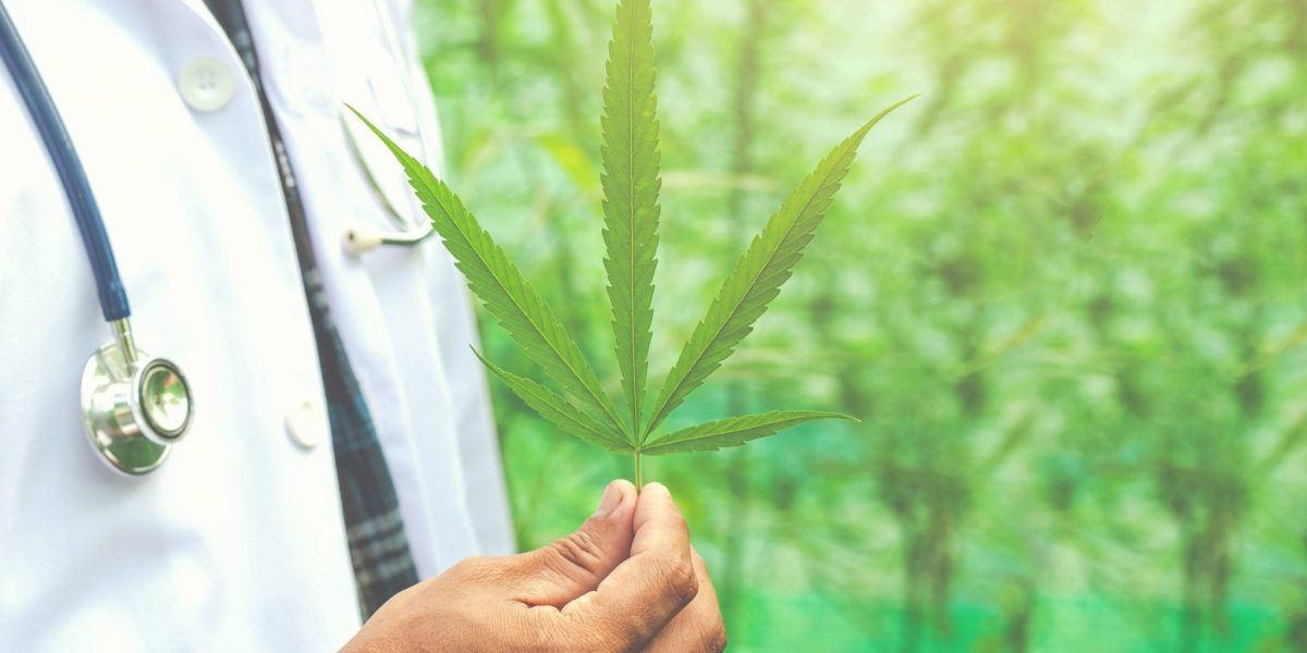 Anvisa aprova uso de produtos à base de Cannabis